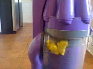 dyson-vacuum-peeps